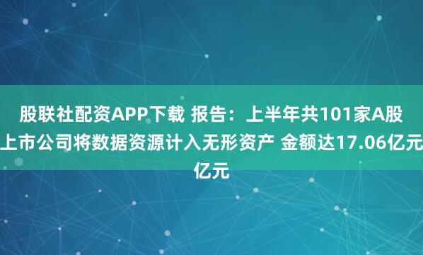 股联社配资APP下载 报告：上半年共101家A股上市公司将数据资源计入无形资产 金额达17.06亿元