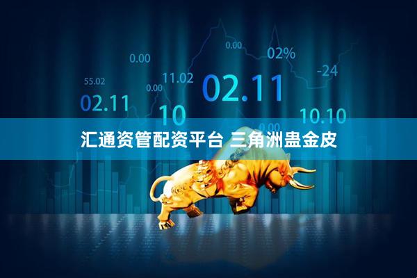 汇通资管配资平台 三角洲蛊金皮